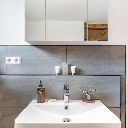Schwarzwaldklause Apartment Rotwasser